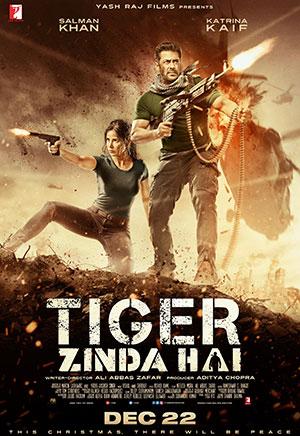 Tiger Zinda Hai (2017) BluRay Hindi Full Movie 480p [450MB] | 720p [1.4GB] | 1080p [3.3GB]