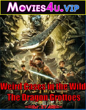 Weird Cases in the Wild: The Dragon Grottoes (2020) Dual Audio [Hindi + Vietnamese] WeB-DL 480p [250MB] | 720p [600MB] | 1080p [1GB]