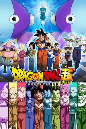 Dragon Ball Super (Season 1-5) Dual Audio {Hindi-English} Anime Series 480p | 720p | 1080p WEB-DL