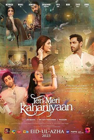 Teri Meri Kahaniyaan (2023) WEB-DL Urdu Full Movie 480p [400MB] | 720p [1GB] | 1080p [2GB]