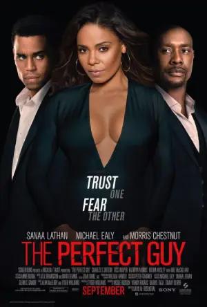 The Perfect Guy (2015) Dual Audio {Hindi-English} 480p [330MB] | 720p [900MB] | 1080p [2.1GB]