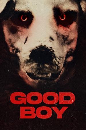 Good Boy (2022) Dual Audio [Hindi ORG. + Norwegian] Blu-Ray 480p [350MB] | 720p [750MB] | 1080p [1.7GB]